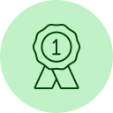 cinta de premio icon