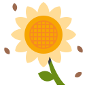 girasol icon