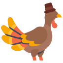 pavo icon