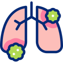 pulmones icon