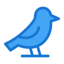 Pájaro icon