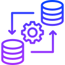 proceso de datos icon