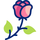 rosa icon