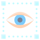 ojo icon