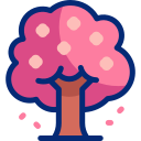 árbol de cerezo en flor icon