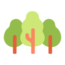 Bosque icon