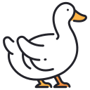 Pato icon