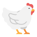 Pollo icon