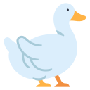 Pato icon