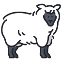 mouton 