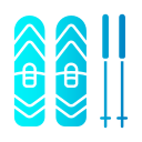 ski 