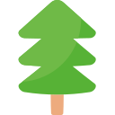 baum 
