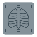 X ray 