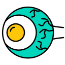 ojo icon