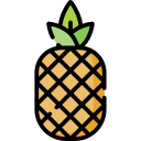 piña icon