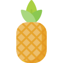 piña icon