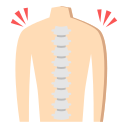 columna vertebral icon