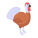 poulet à la dinde 