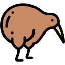 Kiwi icon