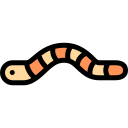 Oruga icon