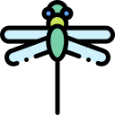 Libélula icon