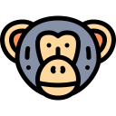 Chimpancé icon