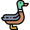 Pato icon