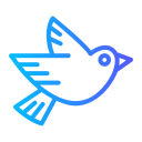 pájaro icon