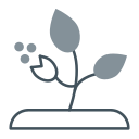 plantas icon