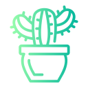 cactus icon