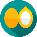 medaillon 