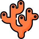 Coral icon