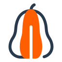 calabaza icon