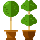 plantas icon