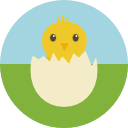 pollo icon