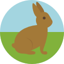 conejo de pascua icon