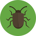 insecto icon