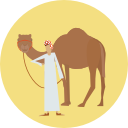 camello icon