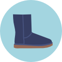 bota icon