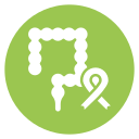 intestino icon