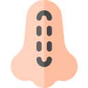 Rinoplastia 