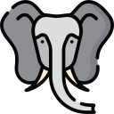 Elefante