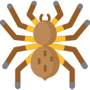 Tarántula icon