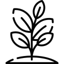 Plant icon