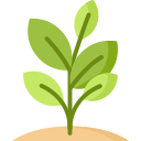 Plant icon