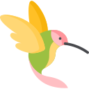 kolibri 
