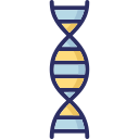 Dna 