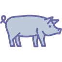 cerdo icon