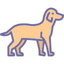 perro icon