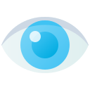 Eye 